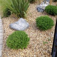 gravel4